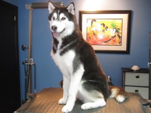 Blu, he is a great singer...